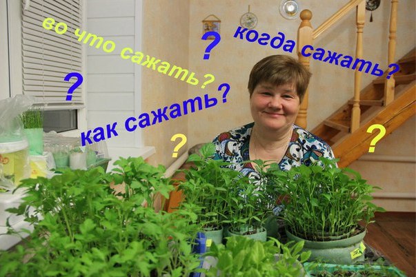 здесь нужна какая-нибудь актуальная шутка про российское законодательство