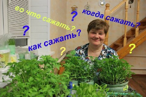 здесь нужна какая-нибудь актуальная шутка про российское законодательство