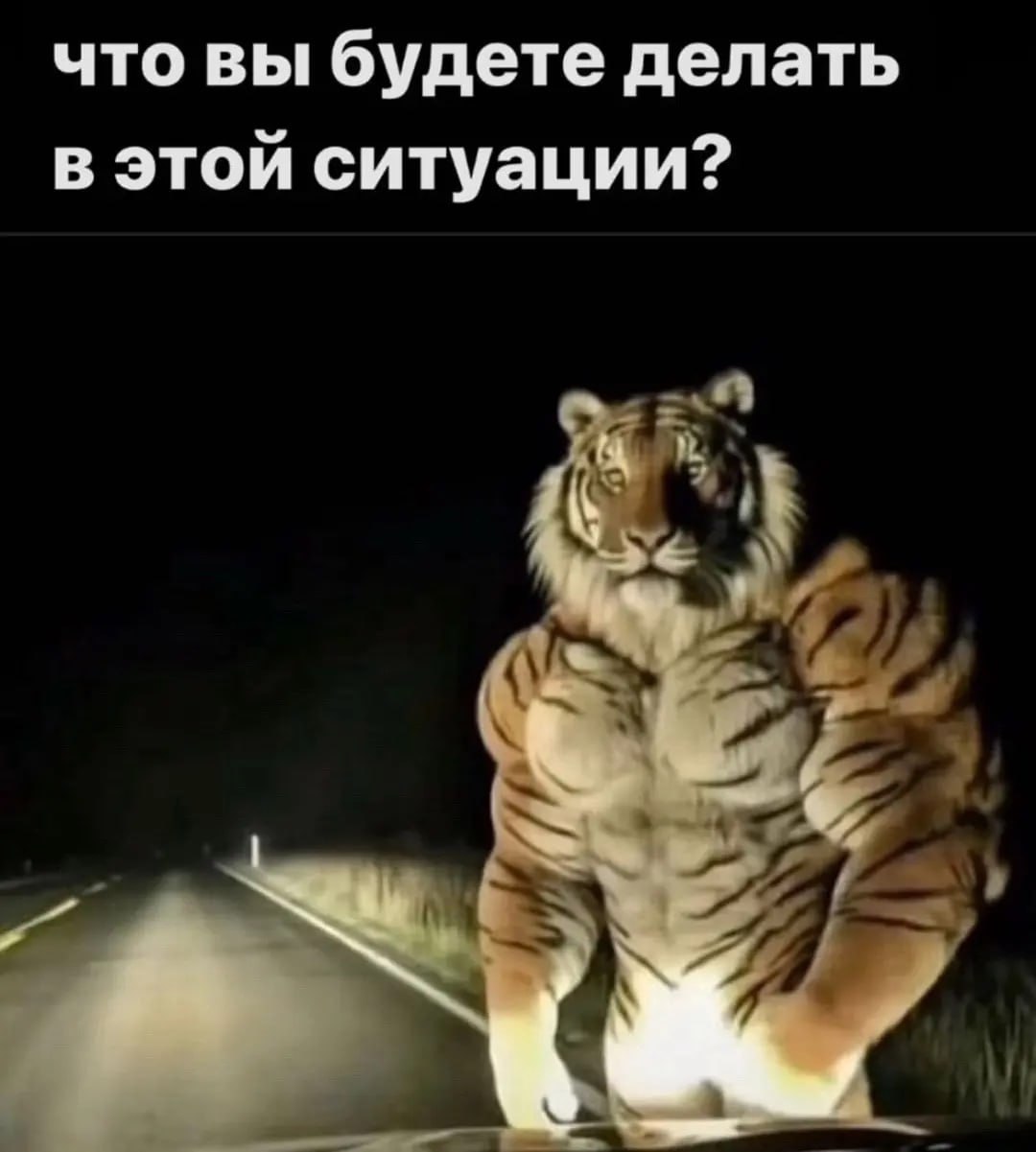 что вы будете делать в этой ситуации?