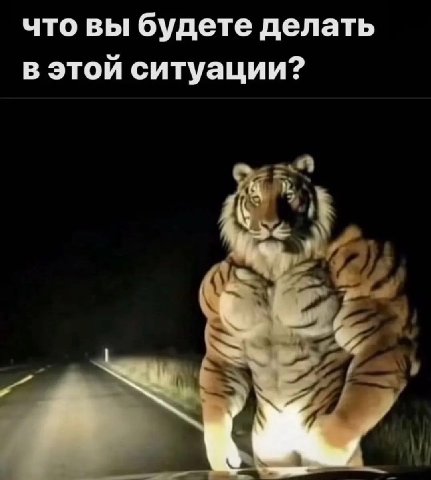 что вы будете делать в этой ситуации?