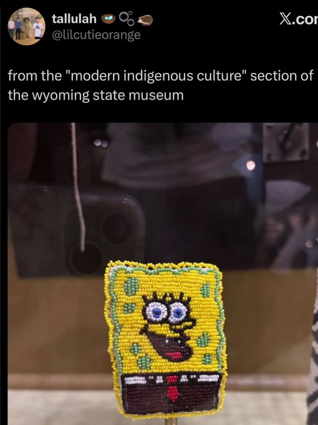 tallulah С> X.cor @lilcutieorange from the "modern indigenous culture" section of the wyoming state museum