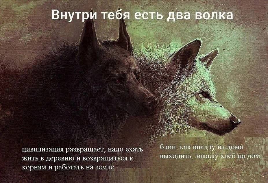 Внутри тебя есть два волка блин, как внадлу из дома цивилизация развращает, надо ехать выходить, закажу хлеб на дом жить в деревню и возвращаться к корням и работать на земле