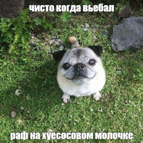 чисто когда вьебал А “Thy У Ape aye path молочке