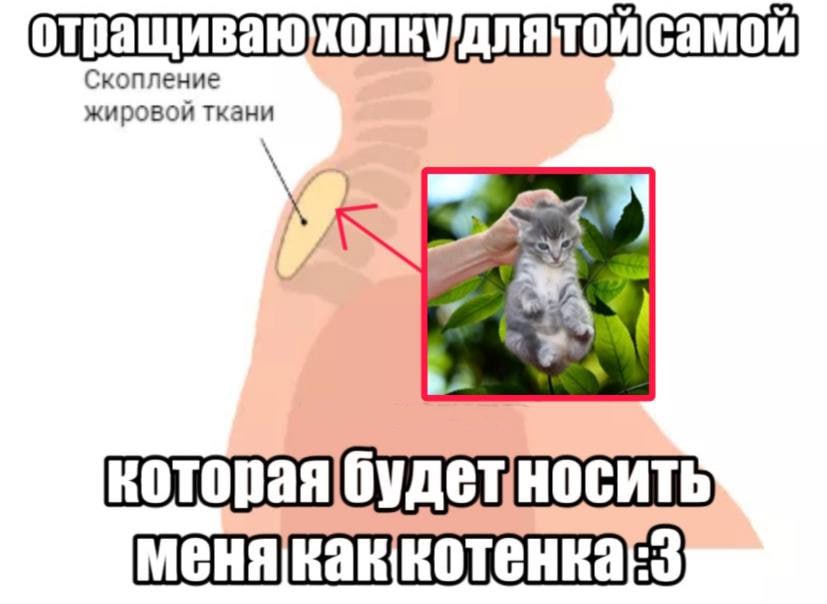 самой жировой ткани