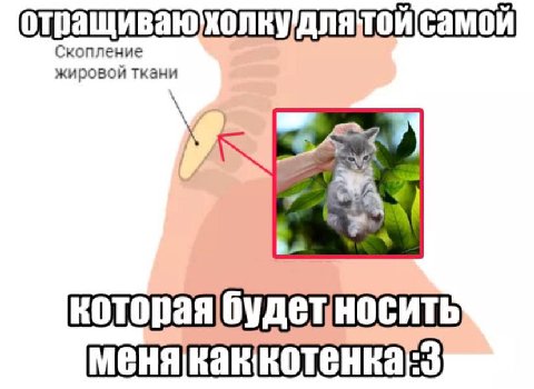самой жировой ткани