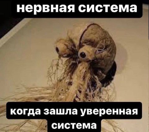 нервная система когда зашла уверенная система