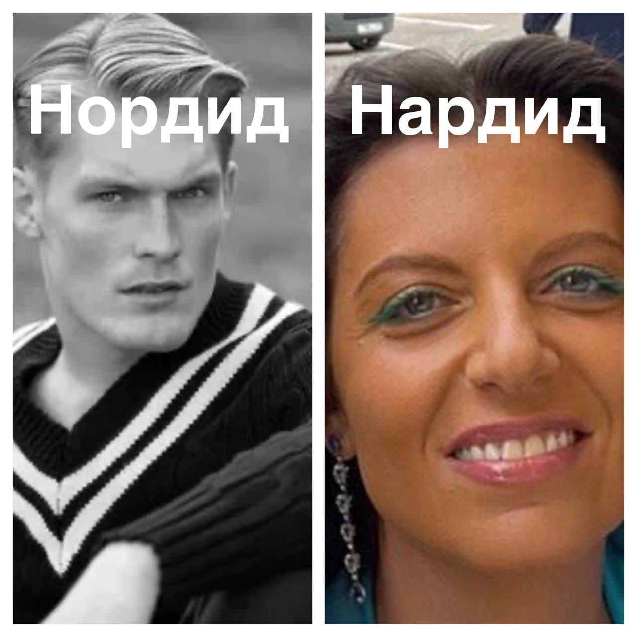 Нардид