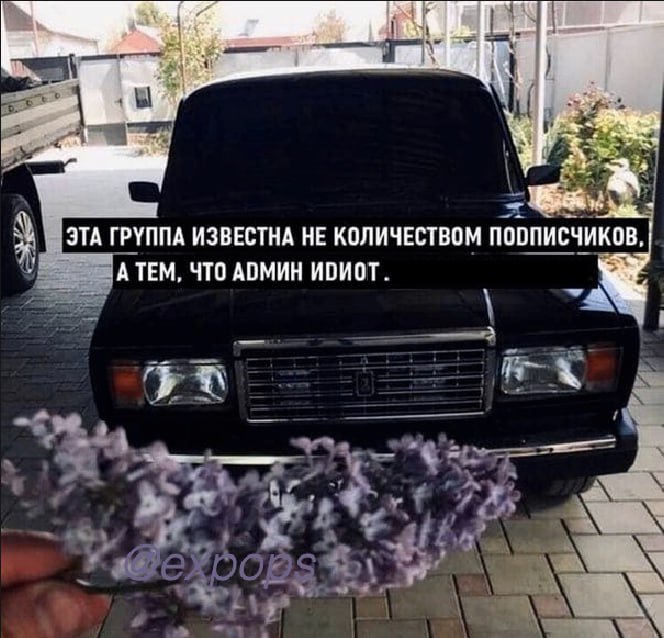 an ЭТА ГРУППА ИЗВЕСТНА HE КОЛИЧЕСТВОМ ПООПИСЧИКОВ, А ТЕМ, ЧТО АОМИН