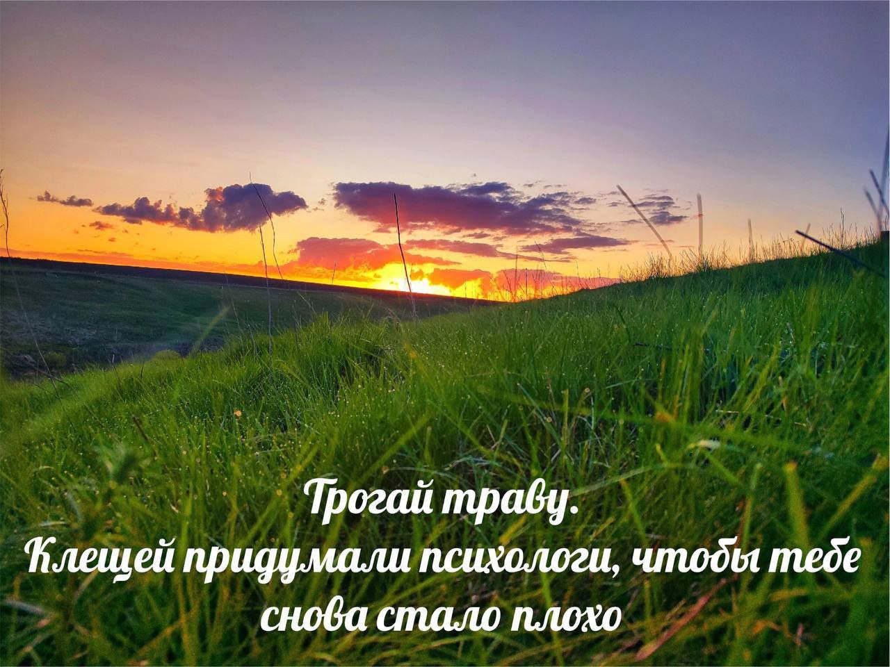 Трогай траву. придумали психологи, чтоды тебе снова стало плохо