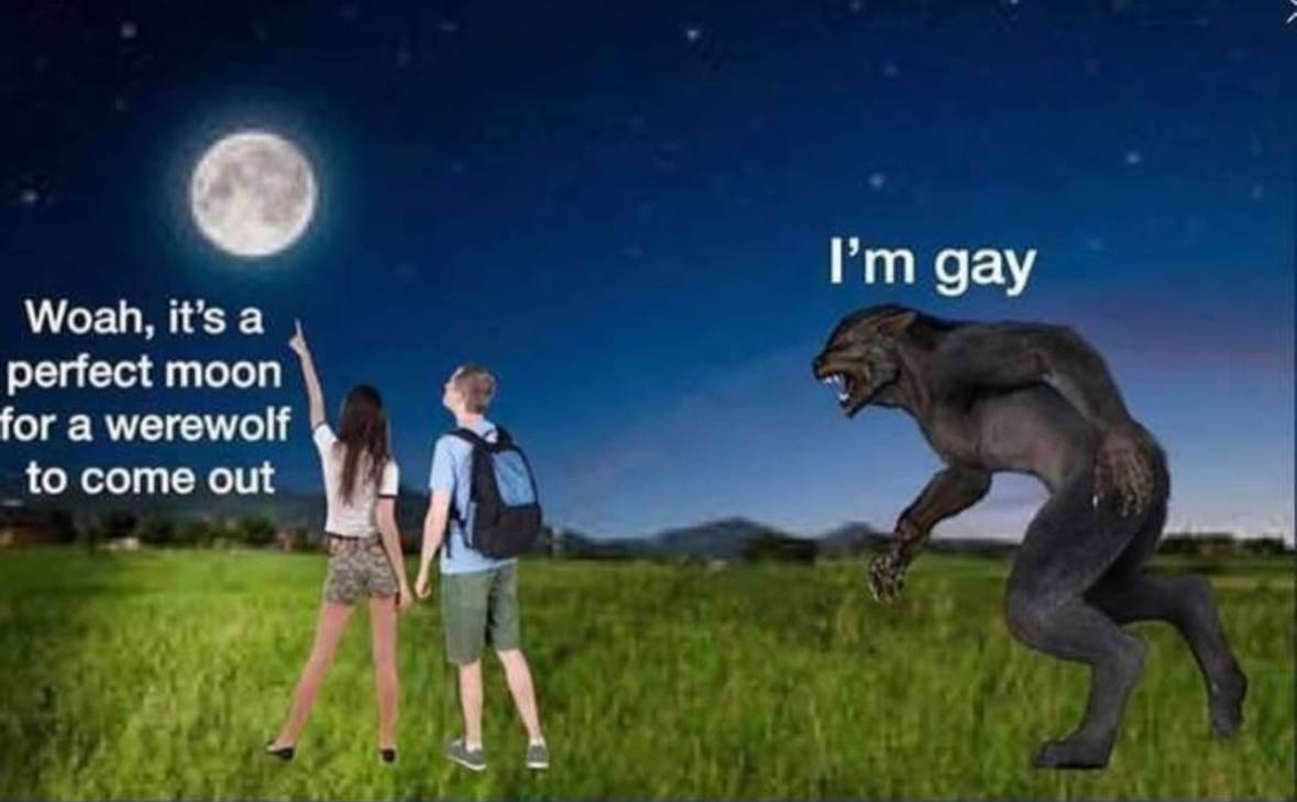 gay Woah, it’s a perfect moon for a werewolf to come out