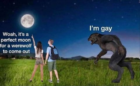 gay Woah, it’s a perfect moon for a werewolf to come out