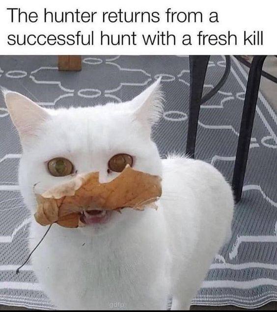 The hunter returns from а successful hunt with a fresh kill