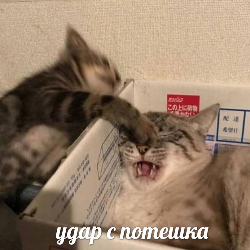 1 ant у a 1% a У К ударслотешка