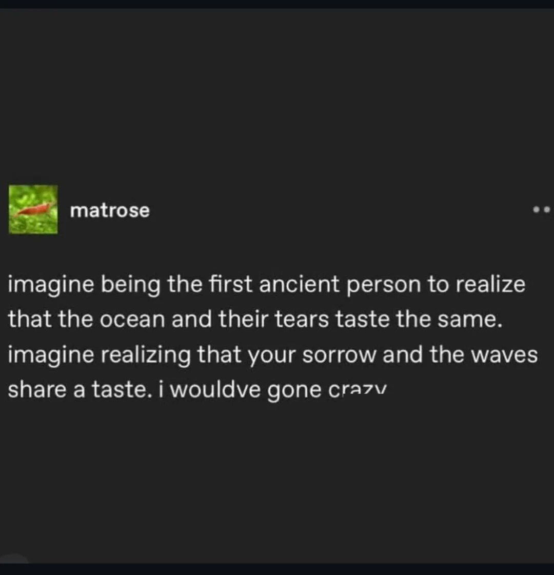 matrose imagine being the first ancient person to realize that the ocean and their tears taste the same. imagine realizing that your sorrow and the waves share a taste. i wouldve gone сга7м