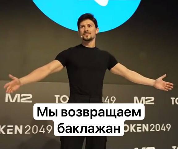 Мы возвращаем CEN 2049 баклажан