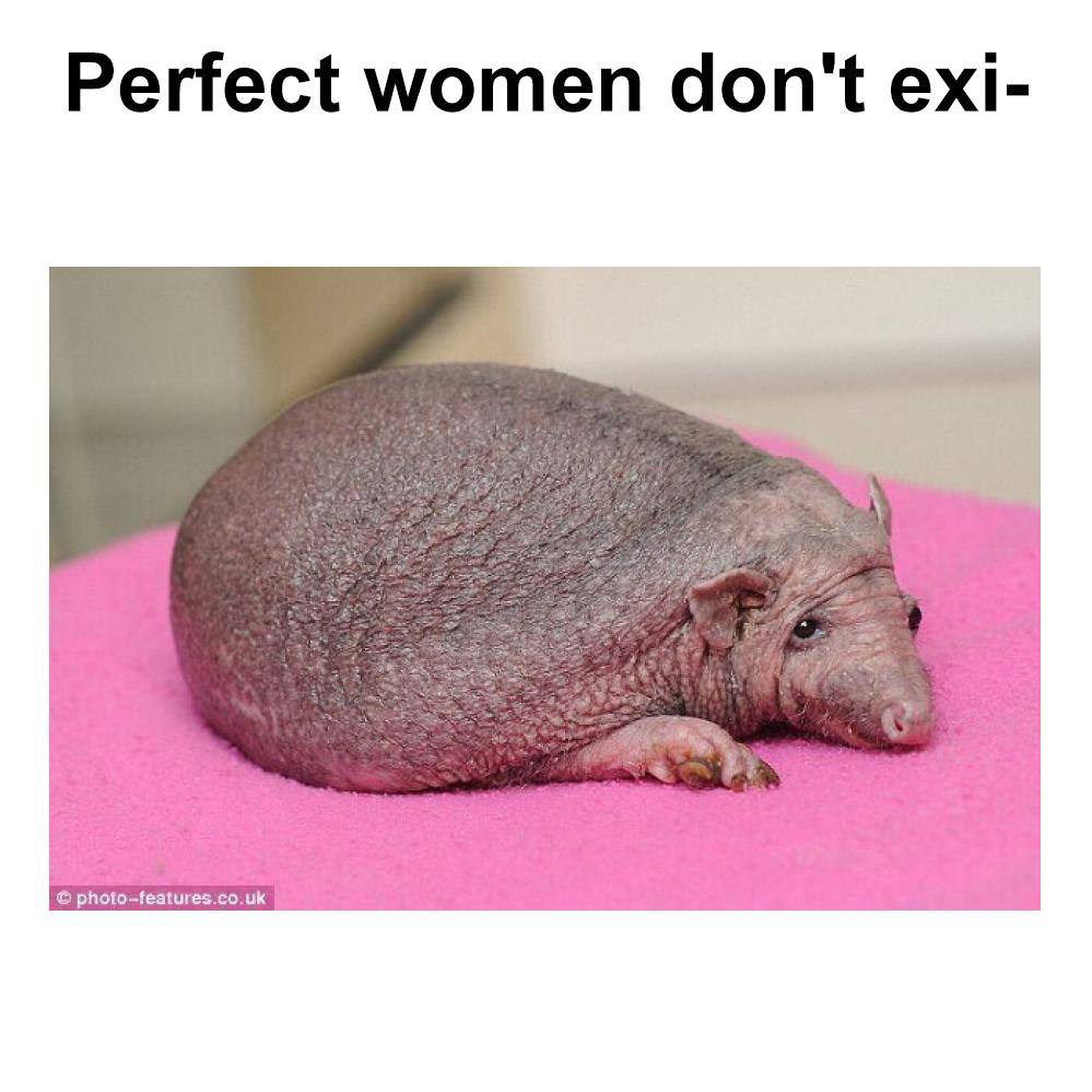 Perfect women don't exi-