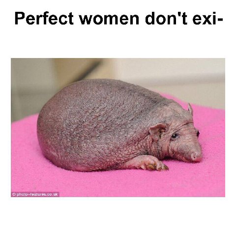 Perfect women don't exi-