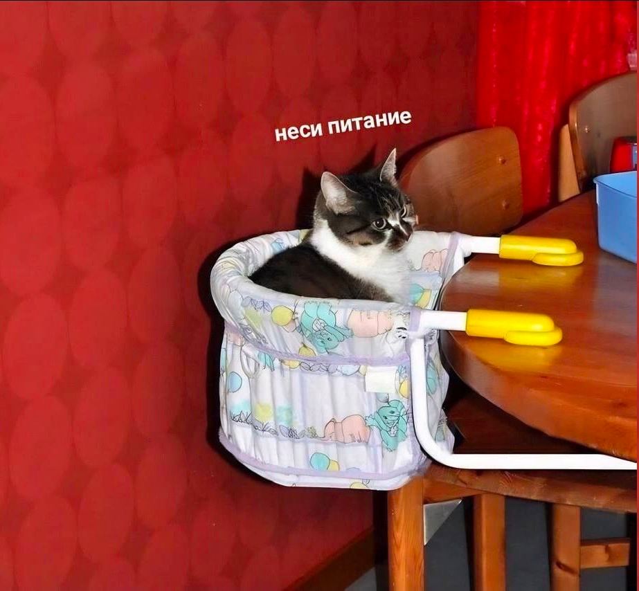 неси питание 1