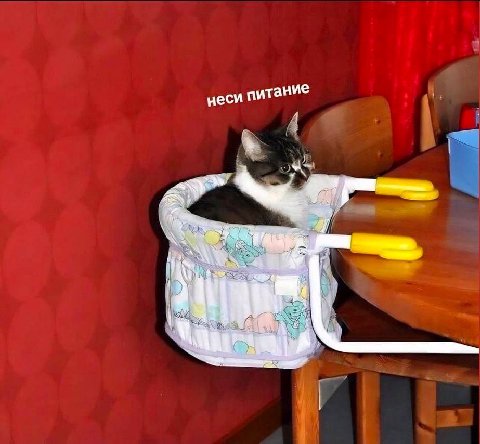 неси питание 1