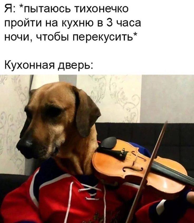 Я: *пытаюсь тихонечко пройти на кухню в 3 часа ночи, чтобы перекусить* Кухонная дверь: