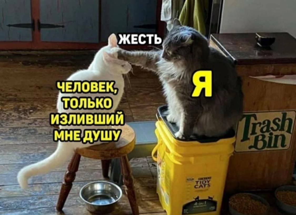 ЖЕСТЬ ЧЕЛОВЕК, ТОЛЬКО ИЗЛИВШИЙ МНЕ ДУШУ®