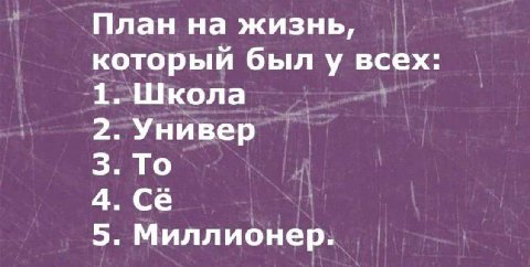 План на жизнь, который был у всех 1. Школа 2. Универ 3. То 4. 5. Миллионер.