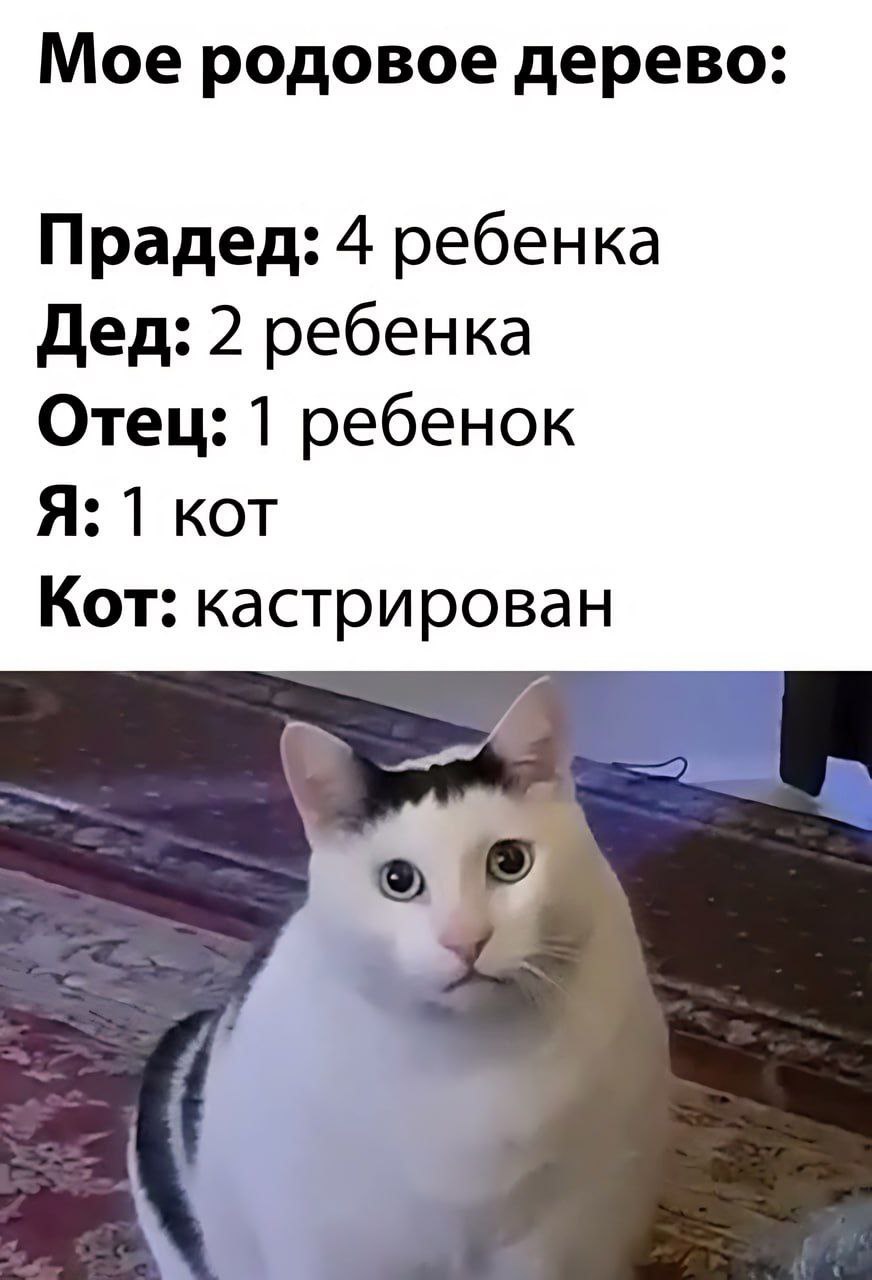 Мое родовое дерево: Прадед: 4 ребенка Дед: 2 ребенка Отец: 1 ребенок Я: 1 КОТ Кот: кастрирован