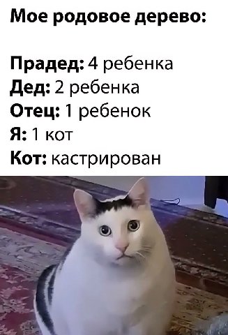 Мое родовое дерево: Прадед: 4 ребенка Дед: 2 ребенка Отец: 1 ребенок Я: 1 КОТ Кот: кастрирован