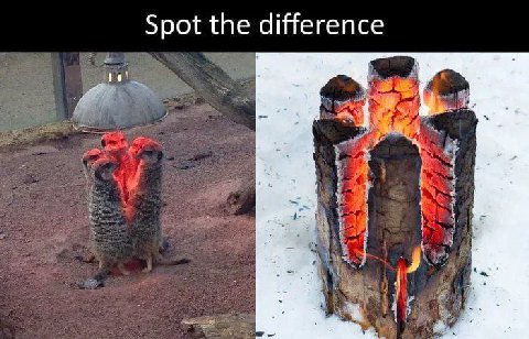 Spot the difference 4