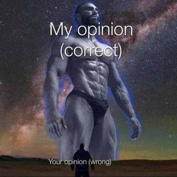 opinion
