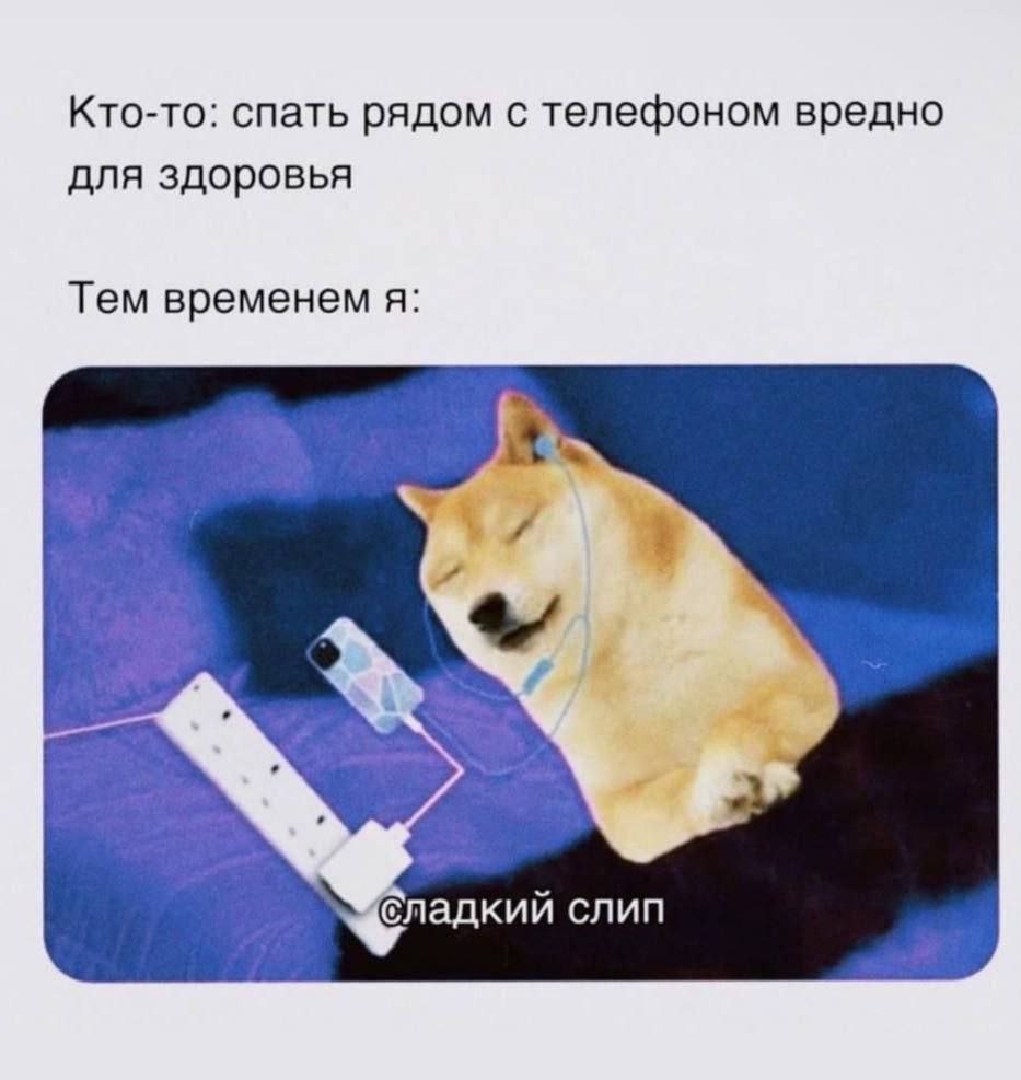 Кто-то: спать рядом с телефоном вредно для здоровья Тем временем я: Сладкий слип