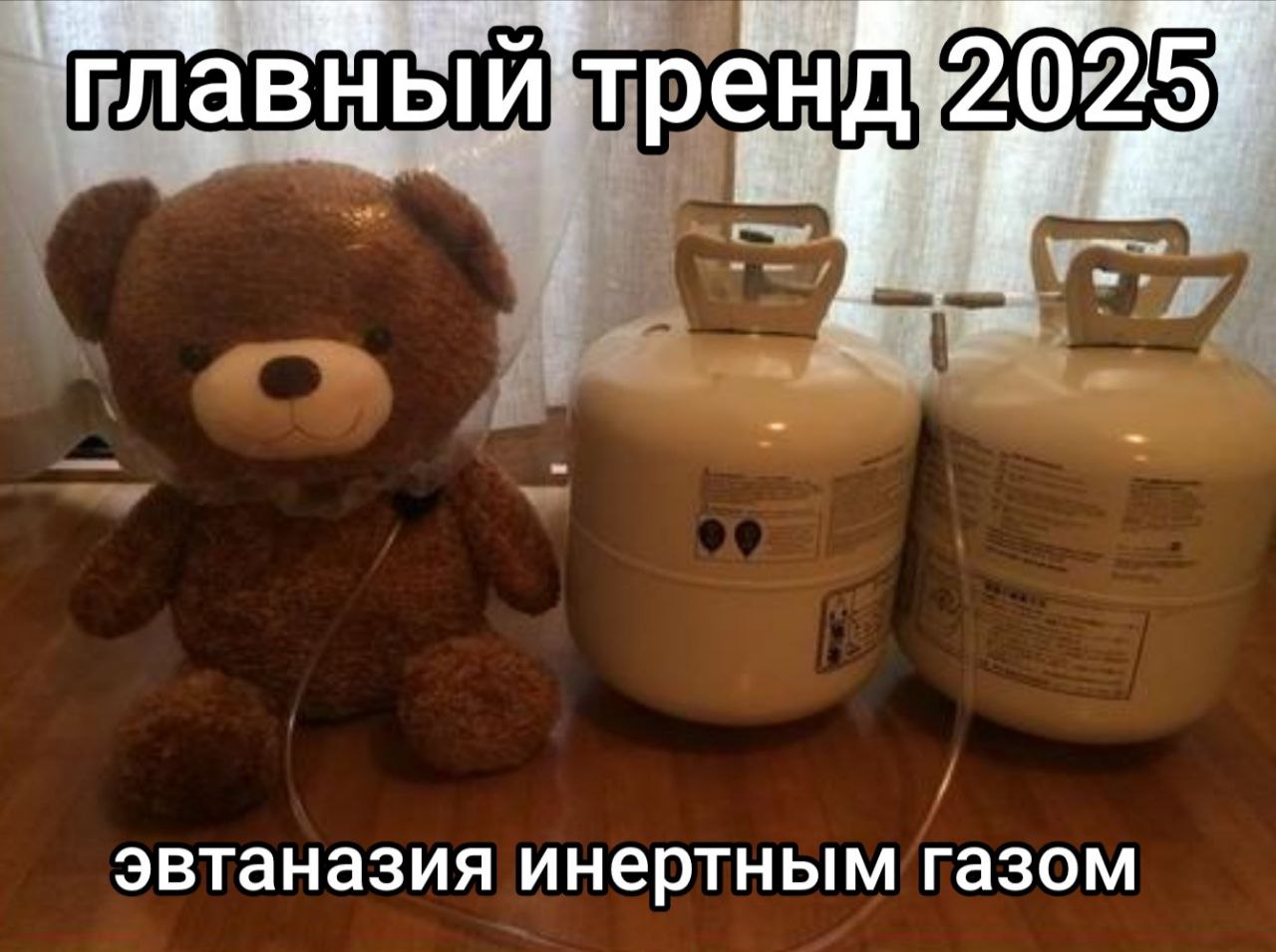 ‘главный’ тренд эвтаназия инертным газом
