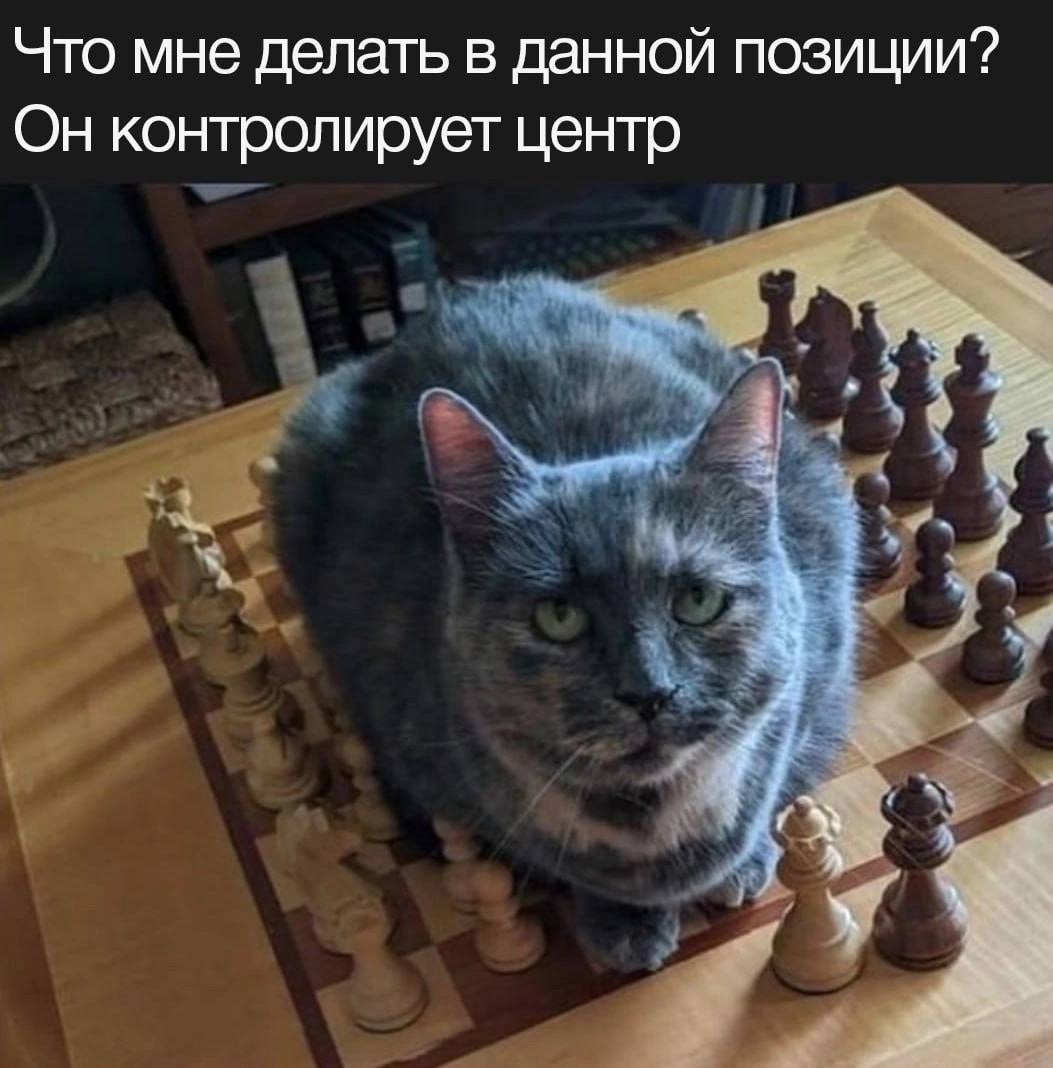 Что мне делать в данной позиции? Он контролирует центр