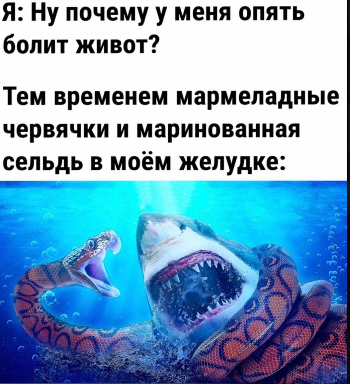Я: Ну почему у меня опять болит живот? Тем временем мармеладные червячки и маринованная сельдь в моём желудке: