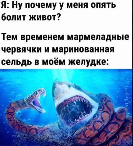 Я: Ну почему у меня опять болит живот? Тем временем мармеладные червячки и маринованная сельдь в моём желудке: