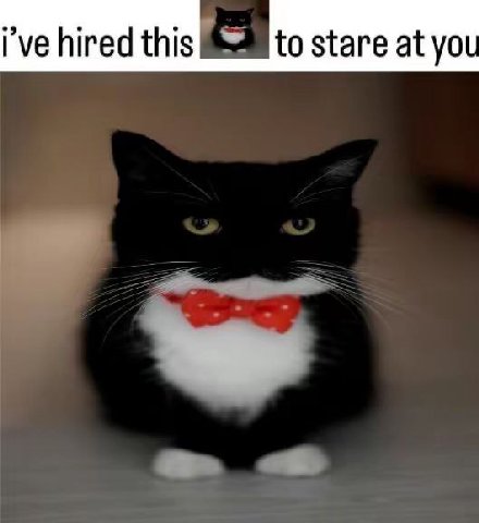 I've hired this to stare at