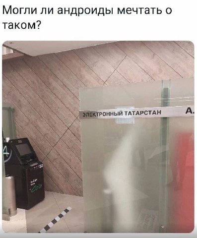 👤 krüppel