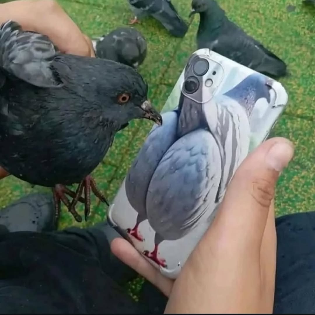 4»