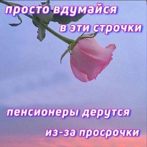 просто вдумайся эти строчки пенсионеры дерутся из-за просрочки