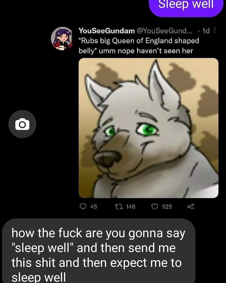 well YouSeeGundam @YouSeeGund... А “Rubs big Queen of England shaped umm nope haven’t seen her а 7. 45 146 925 how the fuck are you gonna say “sleep well’ and then send me this shit and then expect me
