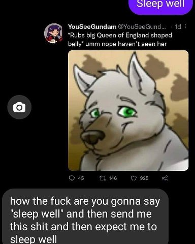 well YouSeeGundam @YouSeeGund... А “Rubs big Queen of England shaped umm nope haven’t seen her а 7. 45 146 925 how the fuck are you gonna say “sleep well’ and then send me this shit and then expect me
