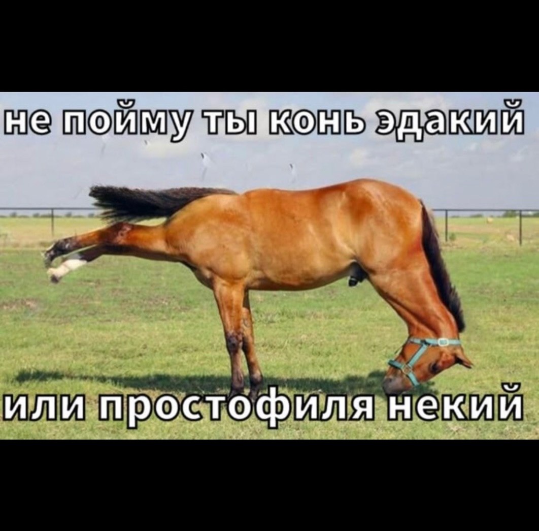не пойму или простофиля некии
