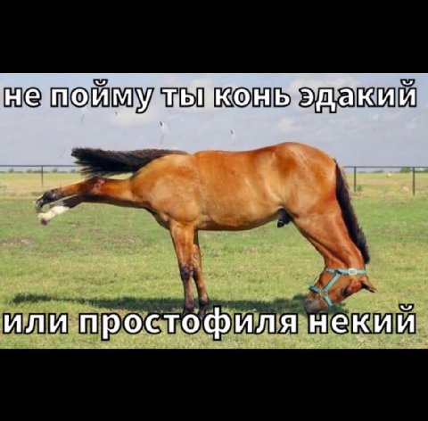 не пойму или простофиля некии