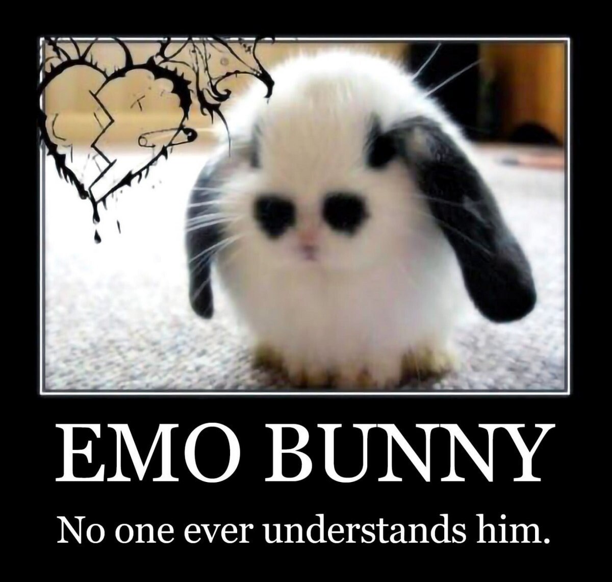 ЕМО ВОММУ No one ever understands him.