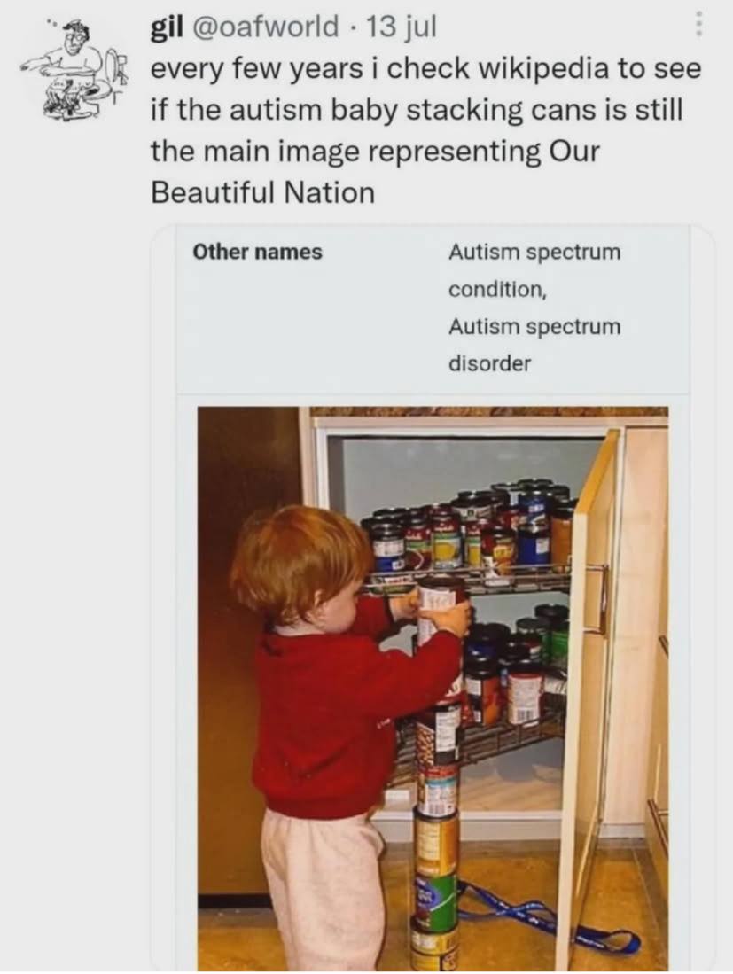 с gil @oafworld 13 jul every few years i check wikipedia to see if the autism baby stacking cans is still the main image representing Our Beautiful Nation Other names Autism spectrum condition, Autism