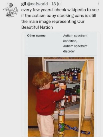 с gil @oafworld 13 jul every few years i check wikipedia to see if the autism baby stacking cans is still the main image representing Our Beautiful Nation Other names Autism spectrum condition, Autism