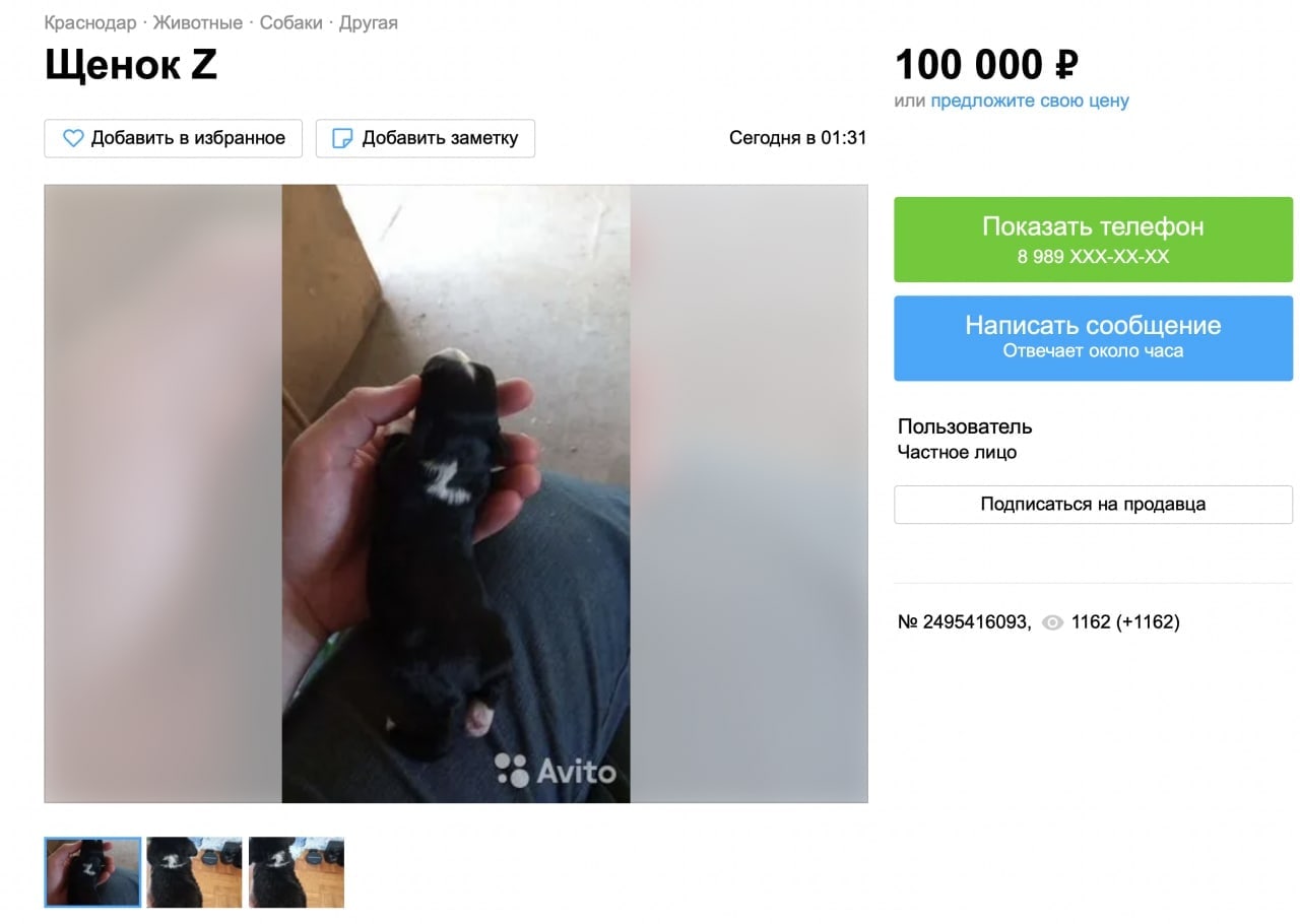 Щенок 2 100 000 Добавить в избранное Добавить заметку ‘Сегодня в 01:31 Пользователь К Частное лицо у 4 Подписаться на продавца 2495416093, 1162 (+1162) у Avito