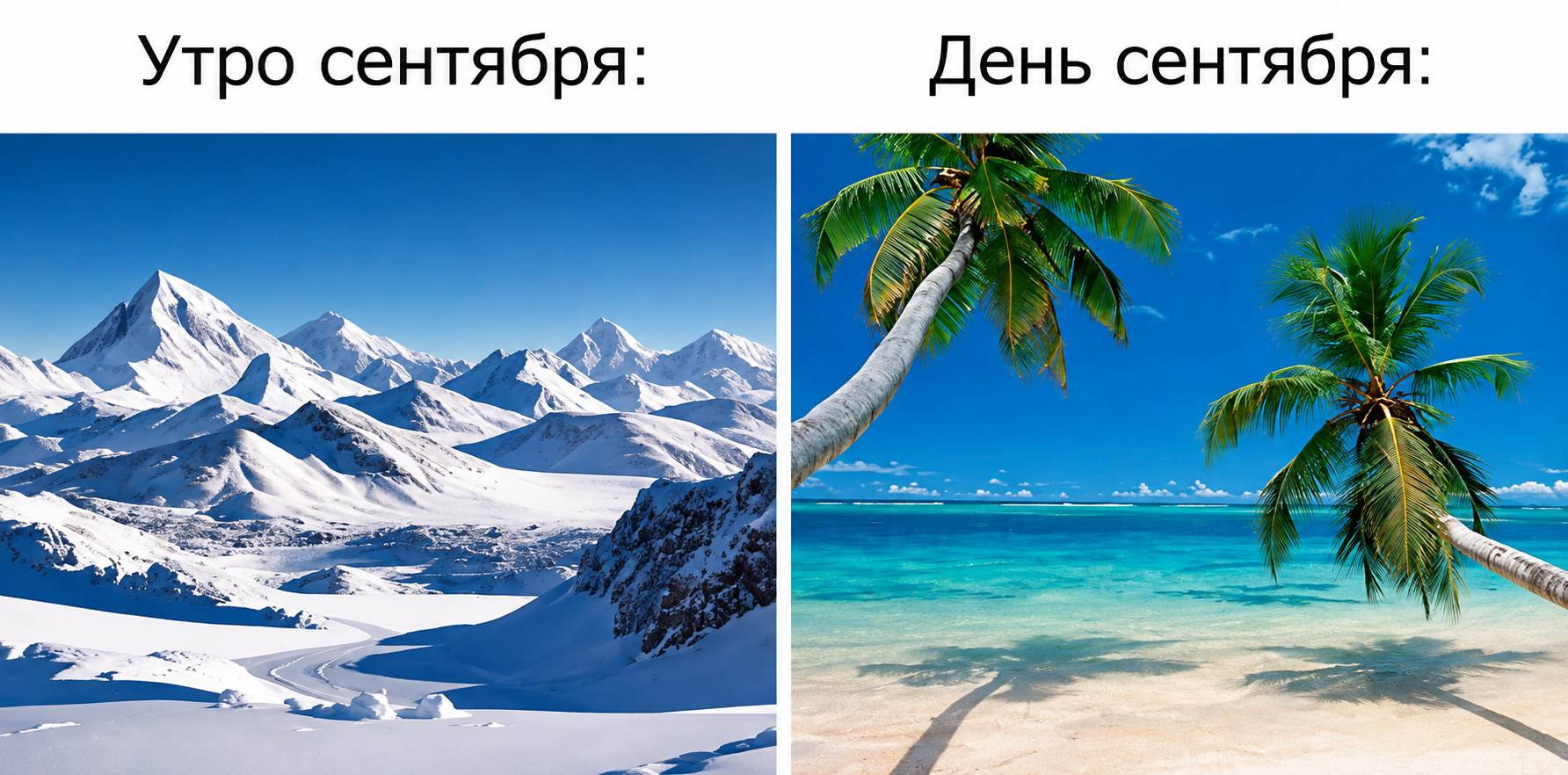 Утро сентября: День сентября: SSS у С AAS non Me 7