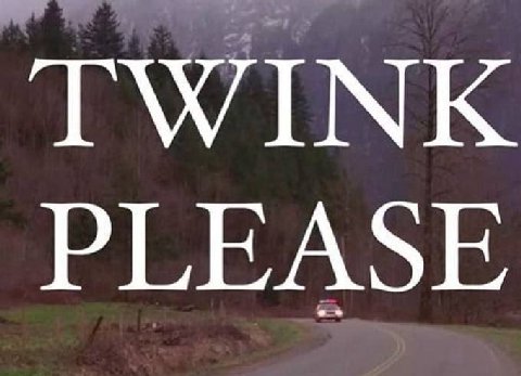 TWINK PLEASE