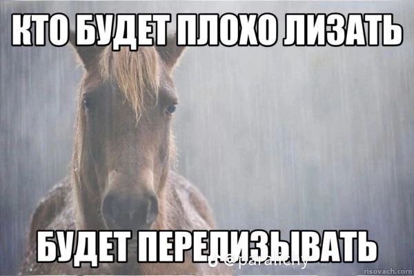 КТО ЛИЗАТЬ БУДЕТ ПЕРЕДИЗЫВАТЬ